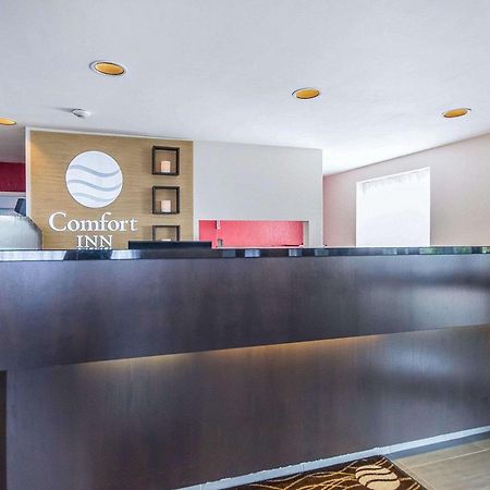 Comfort Inn East Sudbury Exterior photo